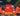 Lava Orcalero Orcala 1.3M/s ⚡ Instant Delivery / Steal A Brainrot