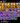Screenshot_26