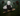 009782e0-b728-4961-ac7c-3d7f7ea31acf_Offer_20250811084040_3305272Original