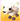 6w4L32Cafd
