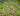 tapin_upload_0_1749161568241