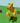 Screenshot 2025-09-02 023802