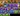 Screenshot 2025-07-22 at 20.05.45