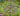 tapin_upload_0_1749161568727