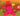 ⚡ Nightmare Mimic Octopus 19KG AGE:100 + 24 SX Sheckles ⚡ |⚡ Grow a Garden |
