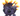 image_2025-03-15_202152796