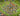 tapin_upload_0_1748788104739