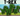 2025-07-11 20_56_07-Roblox - Grow a Garden - Card