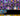 777af9b2-2adc-4c36-add7-487c9b3d5cb0
