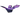 D8DVy71hTJ