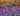 Screenshot_1