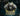 Black-Ops-6-Prestige-System-1