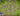 tapin_upload_0_1748788104704
