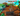 Screenshot_14