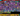 Screenshot 2025-07-10 175713