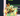 ⚡ MONEY MONEY PUGGY ⚡ | ⚡ $231M/S | SECRET | TACO + FIRE + BOMBARDIRO MUTATION⚡ | ⚡ FAST DELIVERY