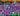 tapin_upload_0_1747430442549