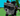raccon