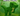 ✨Mega T-Rex + 22,000,000,000,000,000,000,000 Sheckles (22SX)✨ |⛺ Grow a Garden |⚡ Instant Delivery