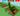 Giantbean Brontosaurus⚡6000000000000000000000 6 sx Sheckles ⚡Grow A Garden⚡Fast delivery