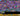 bb1c713e-da58-4bfd-8cd8-2ccf60fefd8c