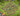 tapin_upload_0_1749161568648