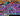 Screenshot_1