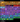 Screenshot_42