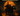 ✨(x2) Mutated Headless Horseman (9.09% chance to obtain Nightmare Headless Horseman) + 12 SX Sheckles✨ |⛺ Grow a Garden |⚡ Instant Delivery