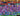 [PC/PSN/XBOX] 130 skins | OG STW | Gold Midas | Gold Meowscles | Gold Brutus | Peter Griffin | Wild Card | Frostbite | Cuddle Team Leader | Lynx | Kymera | -22780 VB