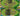 3 Epic♦️TH14 Maxed♦️Heros:79-79-42-55-30♦️Good Collection of Items♦️Rename 500♦️Safe and INSTANT DELIVERY#A #F