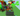 Screenshot_1