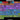 c119182d-e8ba-4a0c-9f89-00e54b537759