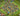 tapin_upload_0_1748788104809