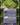FunPic_20250713_154340667-min