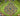tapin_upload_0_1748788104726