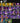 PC2qlwl6zL