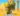 ✨Mummy +16 SX Sheckles✨ |⛺ Grow a Garden |⚡ Instant Delivery