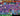 [PC/PSN/XBOX] 86 skins | Point Patroller | Fixer | Lina Scorch | Championship Aura | Vivi Chroma | Subzero Cryptic | Iconic Era | 270 VB #513