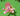Screenshot 2025-08-25 031847
