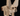 Fennec Fox