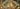 QsmjP9PKQn