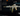 ? BO6 / WZ4 ? 50 Wins + 13 Diamond on ARs and SMGs ❇️ LeveL 55 ⚔ 150+ Camos Unlocked ?‍☠️ Steam
