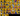 PC/PSN/XBOX |135 skins | Deadpool | Master Chief (Matte Black) | Gold Midas | Gold Brutus | Candy Axe | Reaper | Drift | Rage | Dire | #B741
