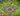 tapin_upload_0_1749161568615