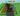 Screenshot_2