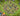 tapin_upload_0_1749161856054