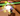 Screenshot 2025-09-02 042303