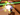 Screenshot 2025-09-02 042303