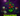 ✨Tomatrio (163.8k DMG) + 1 Gift Limited Item ✨ |⚔️ Plants vs Brainrot |⚡ Instant Delivery